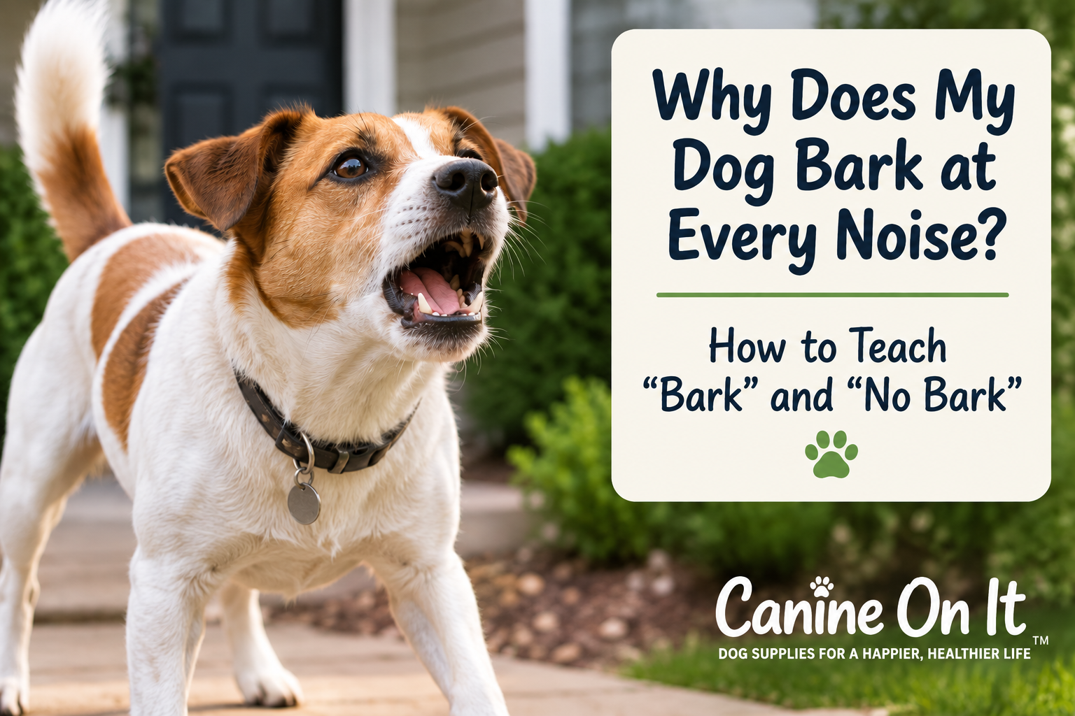 Why Does My Dog Bark at Every Noise? How to Teach “Bark” and “No Bark”