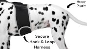 GPS Real Time Pet Tracking Device Waterproof Dog Cat Location Finder Size:L