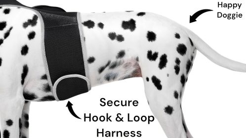 GPS Real Time Pet Tracking Device Waterproof Dog Cat Location Finder Size:L