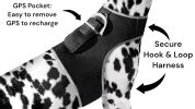Pet Tracker Realtime GPS Dog Tracking System with Tracking History Reports Size:M