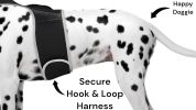 Get Realtime Pet Locations w/ Pet Tracker Mini Cat Dog GPS Tracking Collar Size:XS