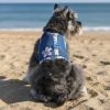 Cool Mesh Dog Harness with Leash