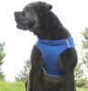 American River Solid Ultra Choke Free Dog Harness