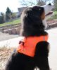 American River Solid Ultra Choke Free Dog Harness
