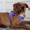 American River Solid Ultra Choke Free Dog Harness