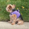 American River Solid Ultra Choke Free Dog Harness