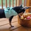 American River Solid Ultra Choke Free Dog Harness