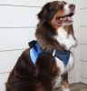 American River Choke Free Dog Harness Ombre Collection