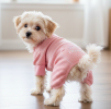 Sweet Dreams Thermal Dog Pajamas
