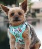Wrap and Snap Choke Free Dog Harness by Doggie Design