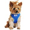 Wrap and Snap Choke Free Dog Harness by Doggie Design
